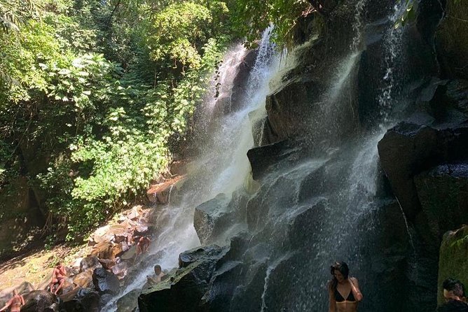 Individual Bali Day Trip with Private Driver and Free WiFi - Ubud and Central Bali: Markets, Rice Terraces, and Holy Water