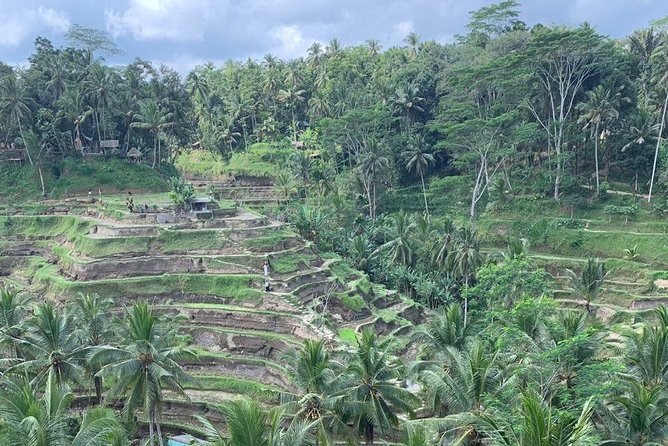 Individual Bali Day Trip with Private Driver and Free WiFi - East Bali Route Options: Lakes, Palaces, Swings, and Gate Views
