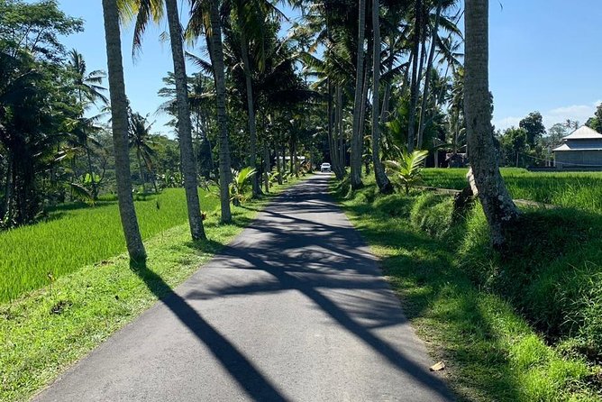 Individual Bali Day Trip with Private Driver and Free WiFi - North-West and Coast Stops: Tanah Lot Neighbors and Beach Time