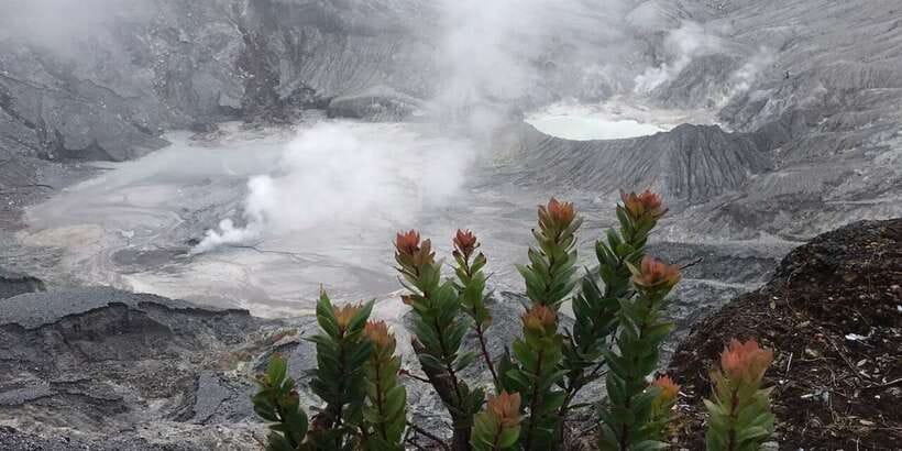 Jakarta: Volcano, Tea/Rice Fields, Hot Spring, Local Food - Key highlights you’ll feel, not just see