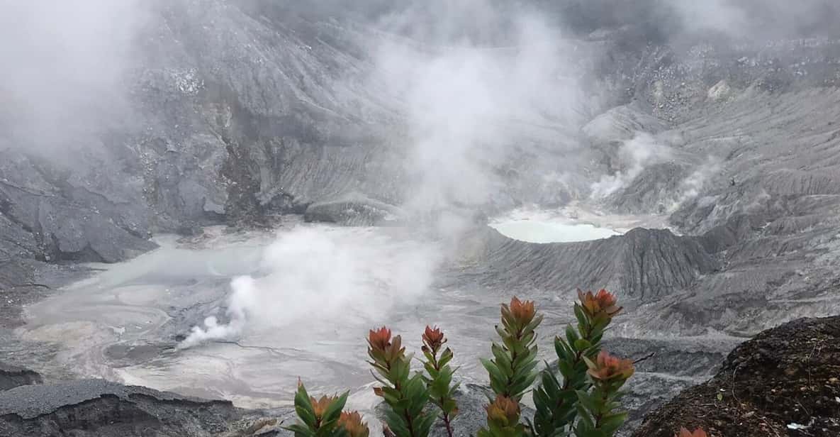 Jakarta: Volcano, Tea/Rice Fields, Hot Spring, Local Food - Price and value: why $114 can make sense for the right person