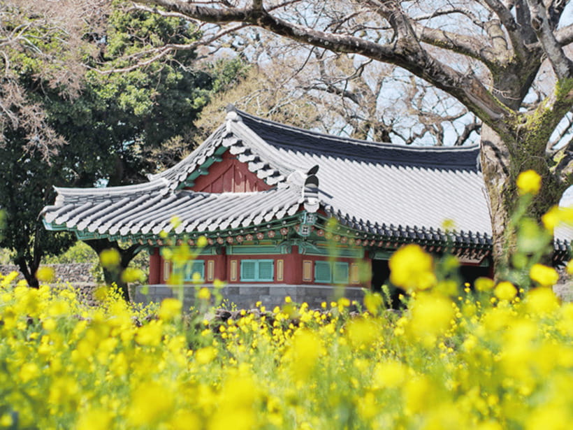 Jeju: Eastern Jeju UNESCO Spots Day Tour - Seongeup Folk Village: Slow Down After Volcanic Drama