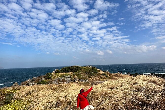 Jeju Island English Private & Flexible Tour any number anywhere - Choosing East, South, or West: the smart way to plan 8 hours