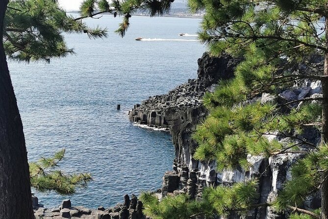 Jeju Island English Private & Flexible Tour any number anywhere - South-side highlights: waterfalls, cliffs, and Osulloc green tea