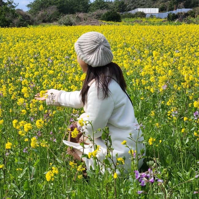 Jeju Island: Southern Top UNESCO Spots Tour - How the 10 Hours Really Feels: A Guided Highlights Loop With Walking