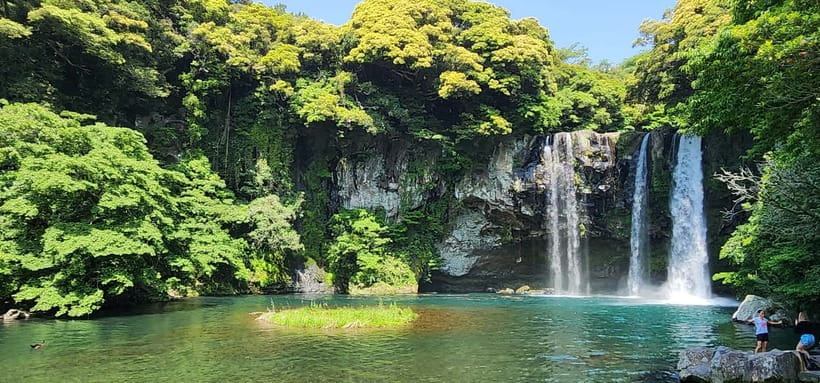 Jeju Island: Southern Top UNESCO Spots Tour - O’sulloc Green Tea Museum and Tea Fields: A Calm Break From Cliffs