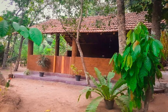 Kandy Village Cooking Class - Key highlights you’ll remember