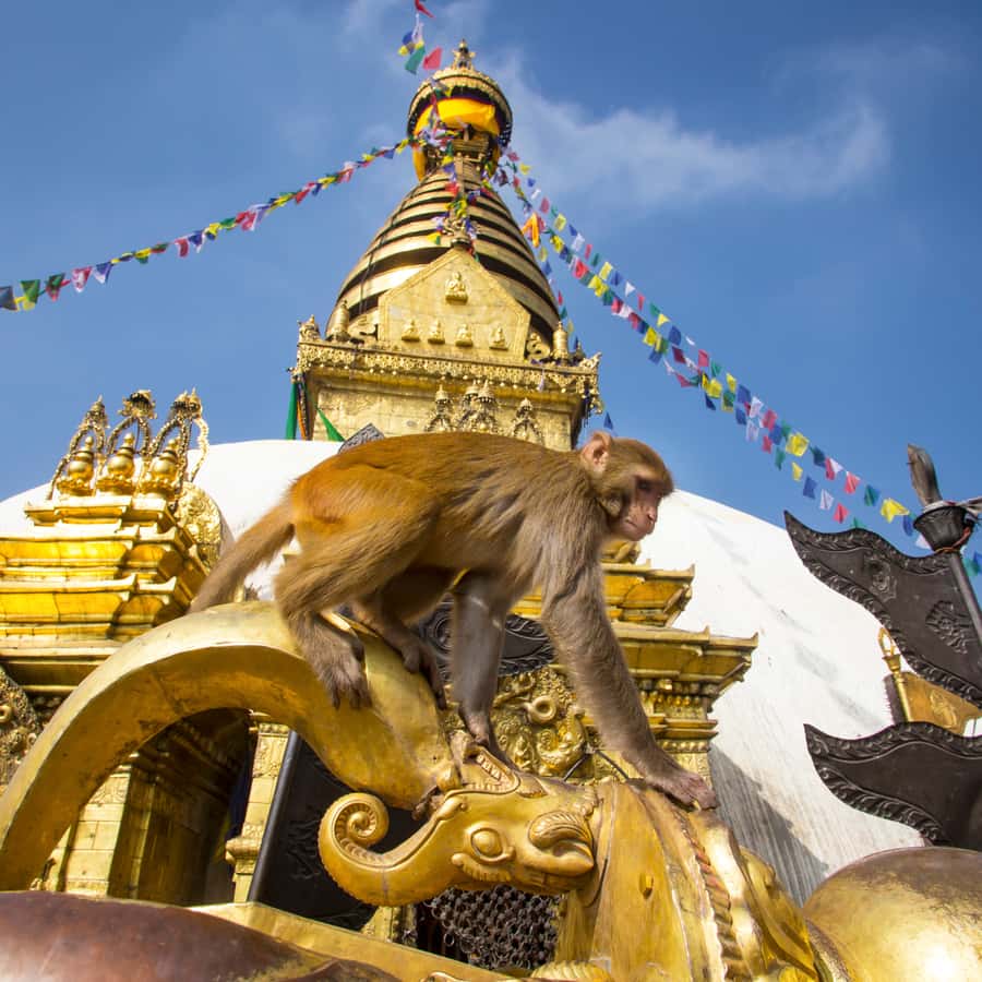 Kathmandu: 7 UNESCO Sites with Lunch - Boudhanath Stupa: Tibetan Monasteries and Thanka Shopping
