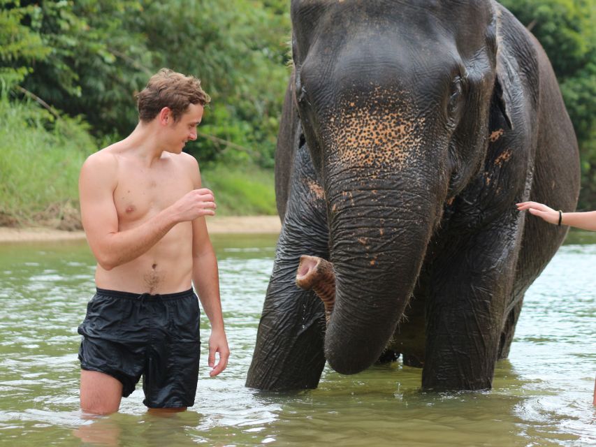 Khao Lak: Elephant Bathing and Turtle Center Visit - Key things to know before you go