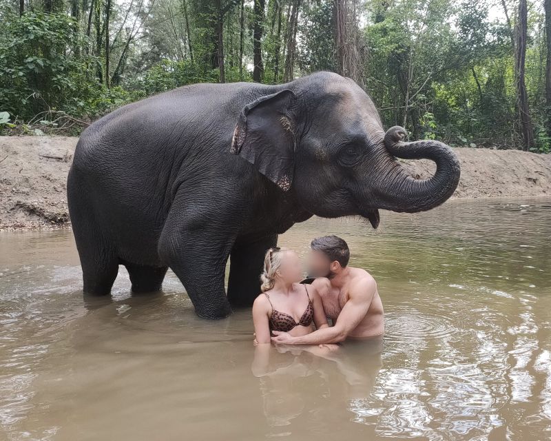 Khao Lak: Elephant Bathing and Turtle Center Visit - What to bring for a wet, hands-on day in Khao Lak