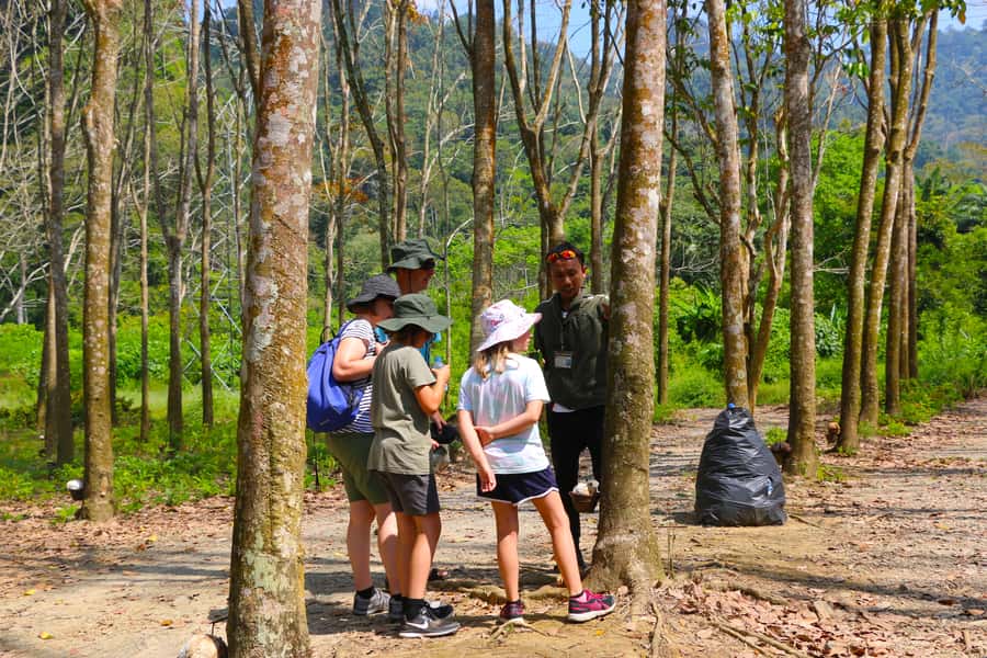 Khao Lak: Khao Sok Bamboo Rafting and Elephant Bathing Trip - Phanthurat Temple and monkey time: quick, chaotic, and fun if you’re ready