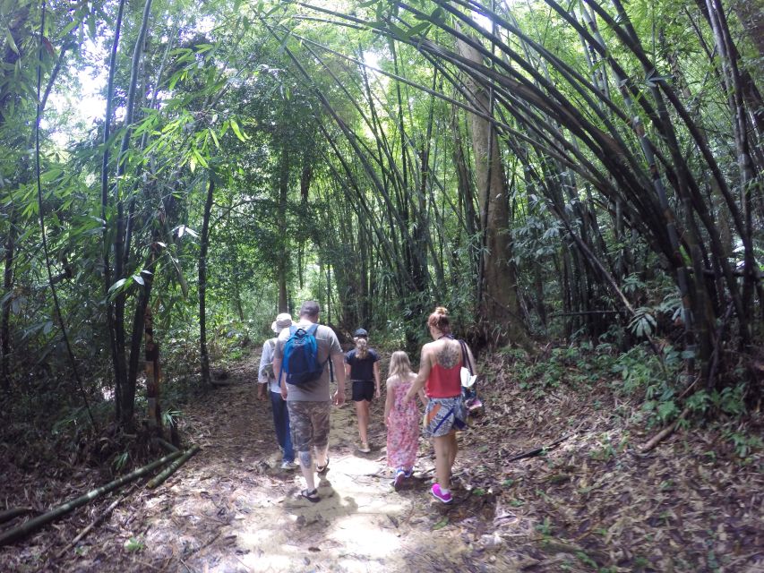 Khao Lak: Little Amazon Canoe Ride & Tam Nang Waterfall Tour - Who should book this tour, and who might skip it