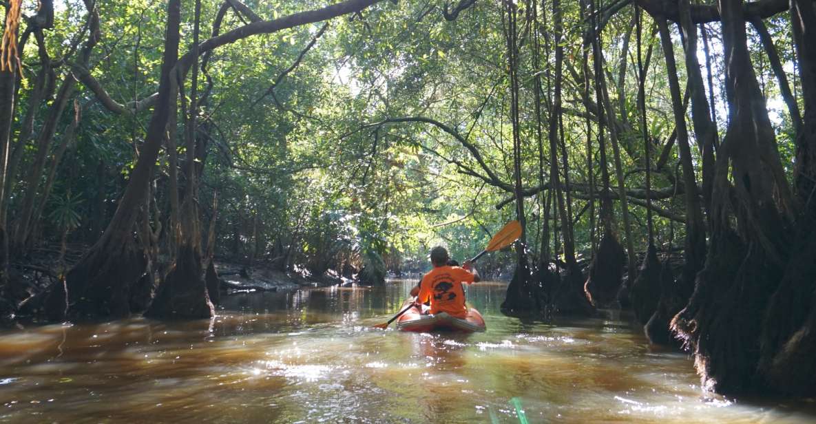 Khao Lak: Little Amazon Canoe Ride & Tam Nang Waterfall Tour - Getting picked up in Khao Lak: timing, tides, and why order can change