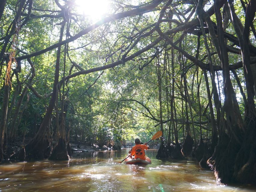 Khao Lak: Little Amazon Canoe Ride & Tam Nang Waterfall Tour - Rainy season plan: what happens if Si Phang-nga closes