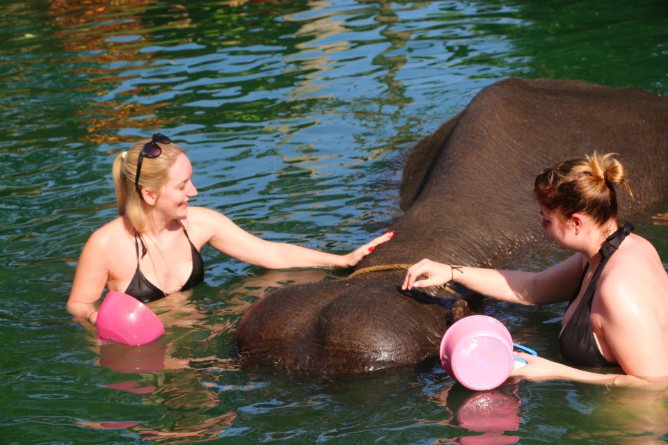 Khao Lak: Rafting, Elephant Bathing & Sea Turtle Center Tour - Value Check: Is $73 Worth It for Khao Lak?