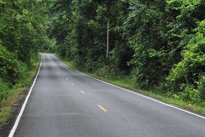 Khao Yai National Park Full-Day From Bangkok - Including Ticket - Your guide can make or break the forest day