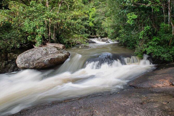 Khao Yai National Park Full-Day From Bangkok - Including Ticket - Small-group comfort: the hidden value in a max-10 tour