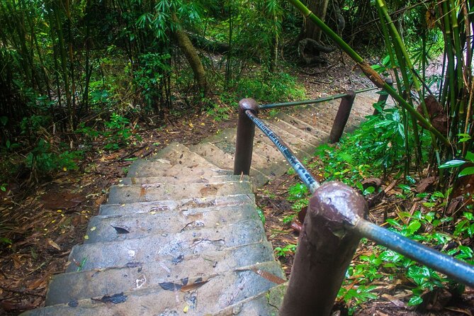 Khao Yai National Park Full-Day From Bangkok - Including Ticket - Price and value: is $78+ actually fair?