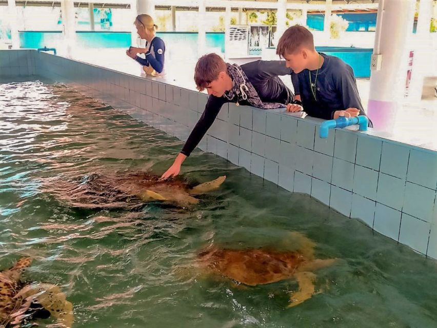 Khaolak: Bamboo Rafting, Waterfalls, and Turtle Conservation - Price and value: about $48 for transport, guiding, and multiple activities