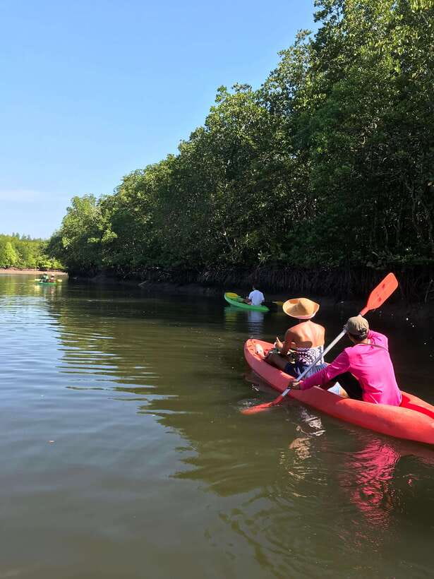 Ko Lanta: Half-Day Mangrove Kayaking Tour with Lunch - Key Highlights You’ll Notice Right Away