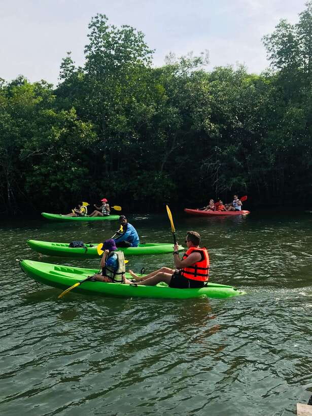 Ko Lanta: Half-Day Mangrove Kayaking Tour with Lunch - Should You Book the Ko Lanta Mangrove Kayaking Tour?