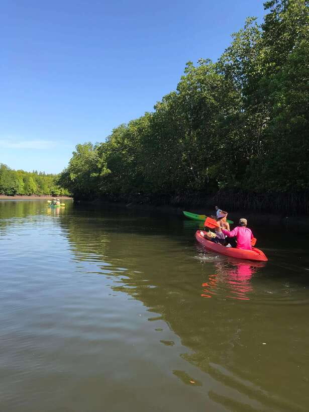 Ko Lanta: Half-Day Mangrove Kayaking Tour with Lunch - Lunch on Ko Lanta: What You Actually Get and Why It Works