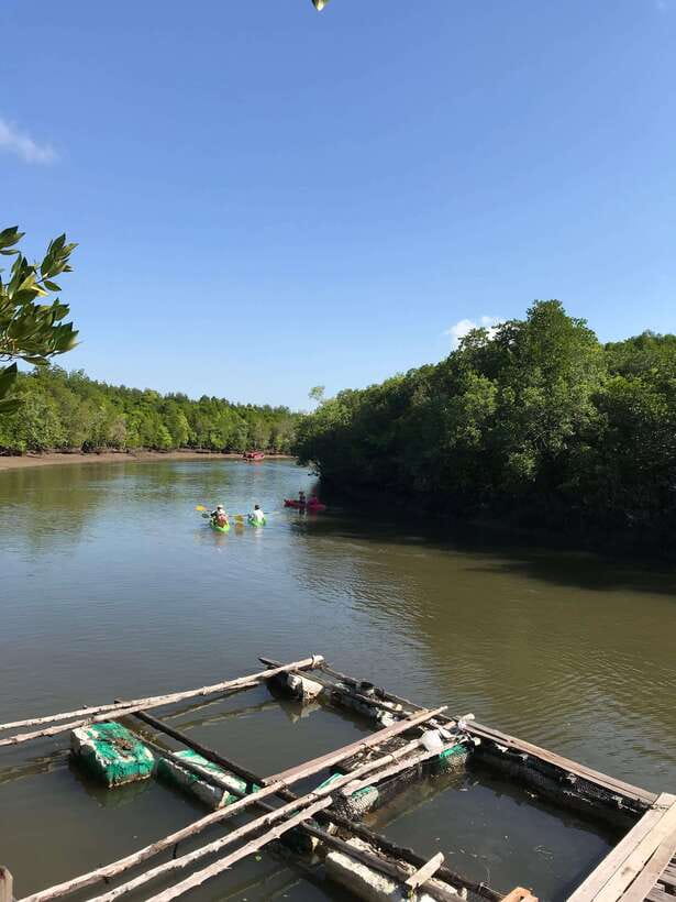 Ko Lanta: Half-Day Mangrove Kayaking Tour with Lunch - Tips to Stay Dry, Comfortable, and Safe Around Monkeys