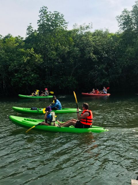 Ko Lanta: Half-Day Mangrove Kayaking Tour with Lunch - Who This Tour Suits Best (And Who Might Want Another Option)