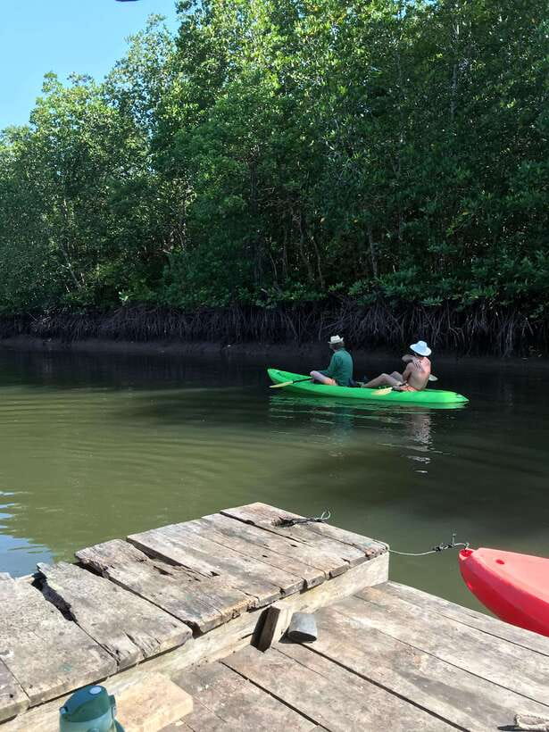 Ko Lanta: Half-Day Mangrove Kayaking Tour with Lunch - The 3-Hour Flow: From Hotel Pickup to Lunch and Back