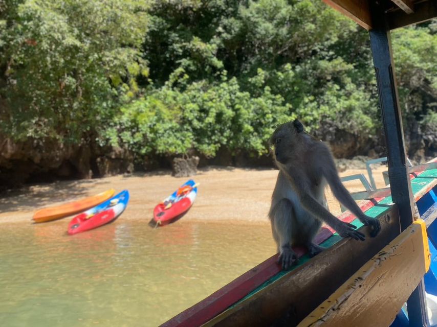Ko Lanta: Mangrove Kayaking, Ko Talabeng, & Skull Island - Mangrove Kayaking in Ko Lanta: Why the “shallow coastline” matters