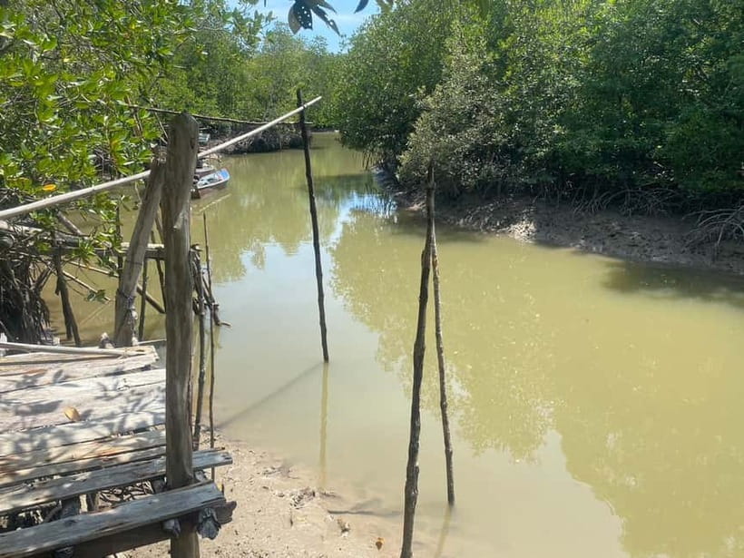 Ko Lanta: Mangrove Kayaking, Ko Talabeng, & Skull Island - Hard-shell sea kayaking around Ko Talabeng: How it feels on the water