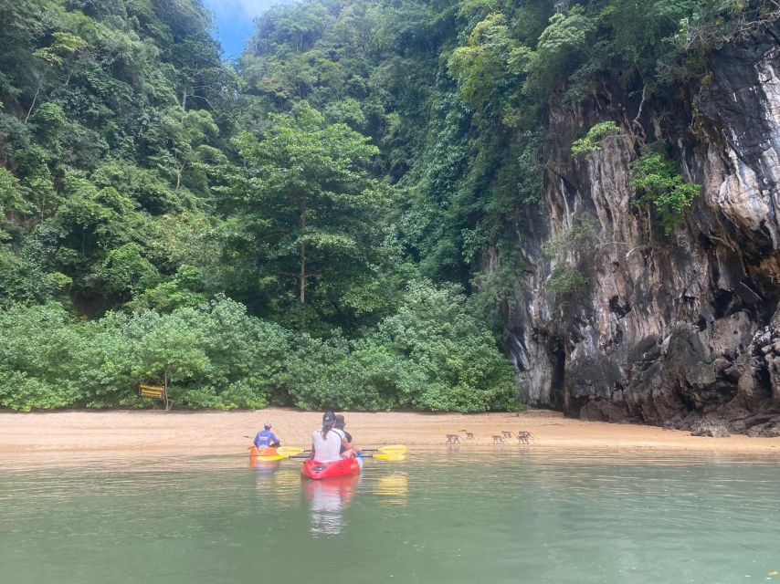 Ko Lanta: Mangrove Kayaking, Ko Talabeng, & Skull Island - Hidden sea cave paddle: Stalactites and stalagmites, up close