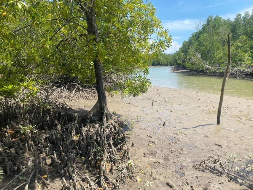 Ko Lanta: Mangrove Kayaking, Ko Talabeng, & Skull Island - Logistics that affect your comfort: timing, weather, and transfers