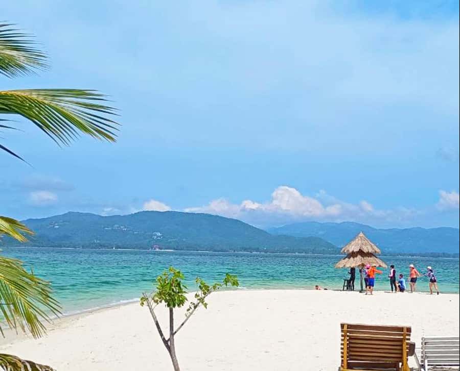 Ko Samui: Pig Island Snorkeling and Koh Tan Speedboat Tour - Who this tour is best for (and who should look elsewhere)