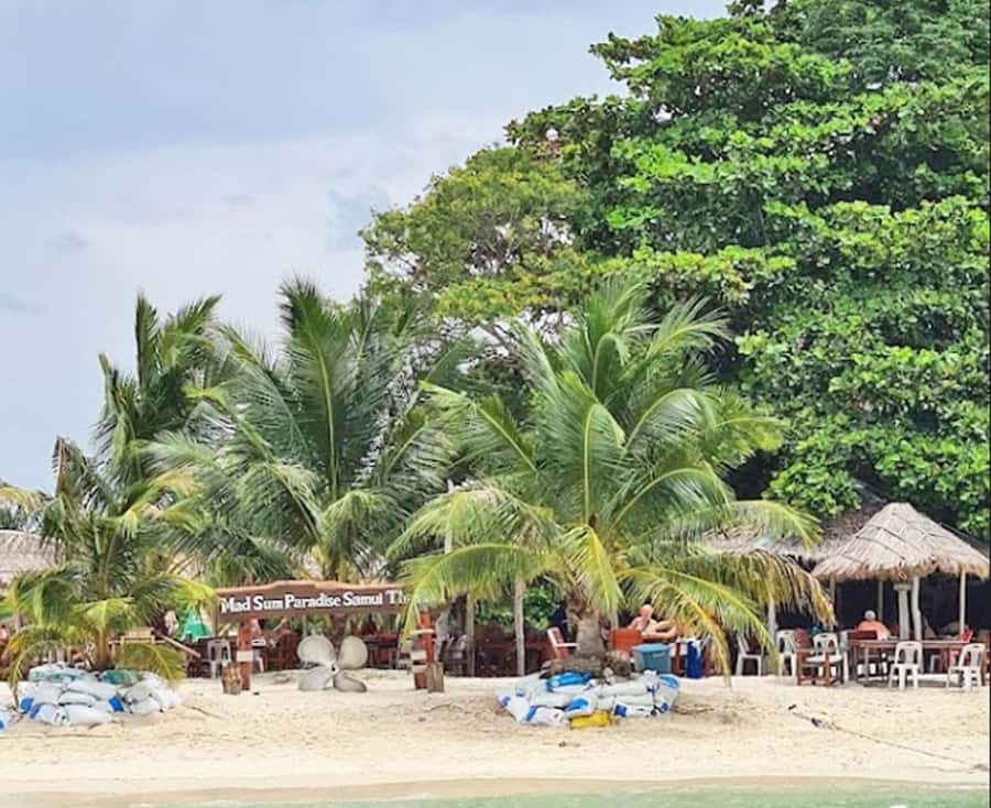 Ko Samui: Pig Island Snorkeling and Koh Tan Speedboat Tour - Should you book the Ko Samui Pig Island Snorkeling and Koh Tan tour?