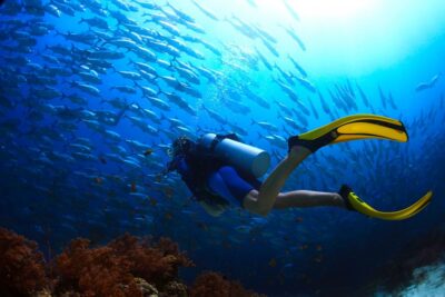 Ko Tao: Try Scuba Diving 1-Day Experience - Training Before You Go Deeper: Shallow Water First