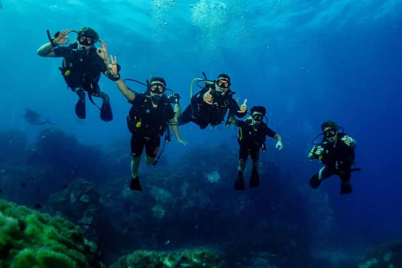 Ko Tao: Try Scuba Diving 1-Day Experience - Price and Value: How $77 Stacks Up on Ko Tao