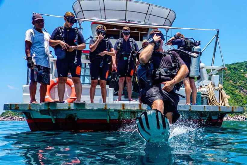 Ko Tao: Try Scuba Diving 1-Day Experience - Who This Trip Suits Best