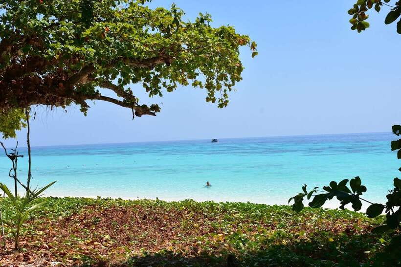 Koh Lanta: Adventure Sea Tour to Koh Rok and Koh Haa - Koh Haa Five Islands: the mini-lagoon snorkel stop