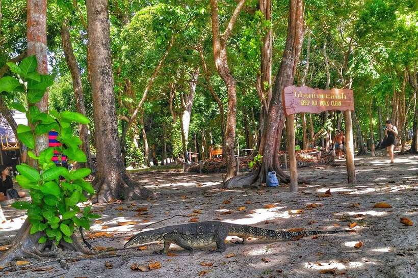 Koh Lanta: Adventure Sea Tour to Koh Rok and Koh Haa - Hiking to Pha Samed Daeng: viewpoint time without a day-long trek