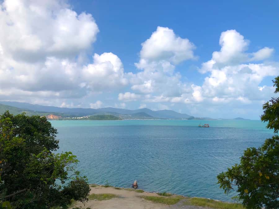 Koh Samui: 4x4 Off Road Island Safari Tour Including Lunch - The Big Reality Check: Open-Air Comfort, Group Size, and Hearing the Guide