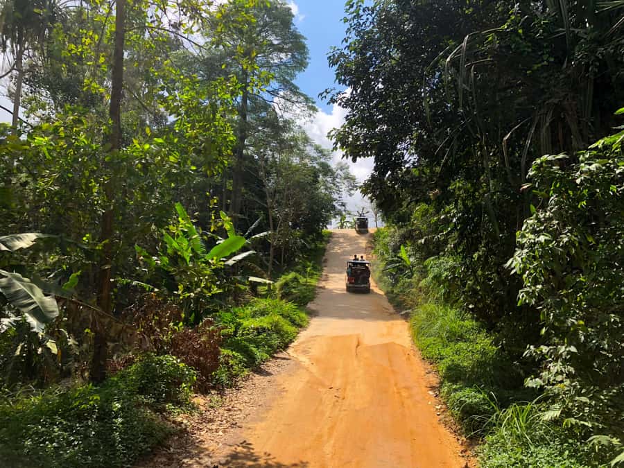 Koh Samui: 4x4 Off Road Island Safari Tour Including Lunch - Lunch with Island Views: Good Food, One Time You Might Want More