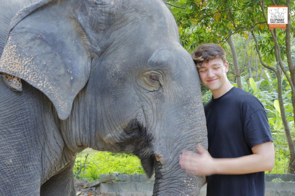 Koh Samui: Elephant Jungle Sanctuary Half-Day Tour - Pickup, timing, and what to pack (so you enjoy it instead of fighting it)