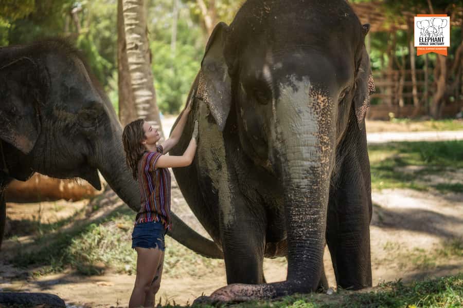 Koh Samui: Elephant Jungle Sanctuary Half-Day Tour - Entering the Elephant Jungle Sanctuary on Koh Samui