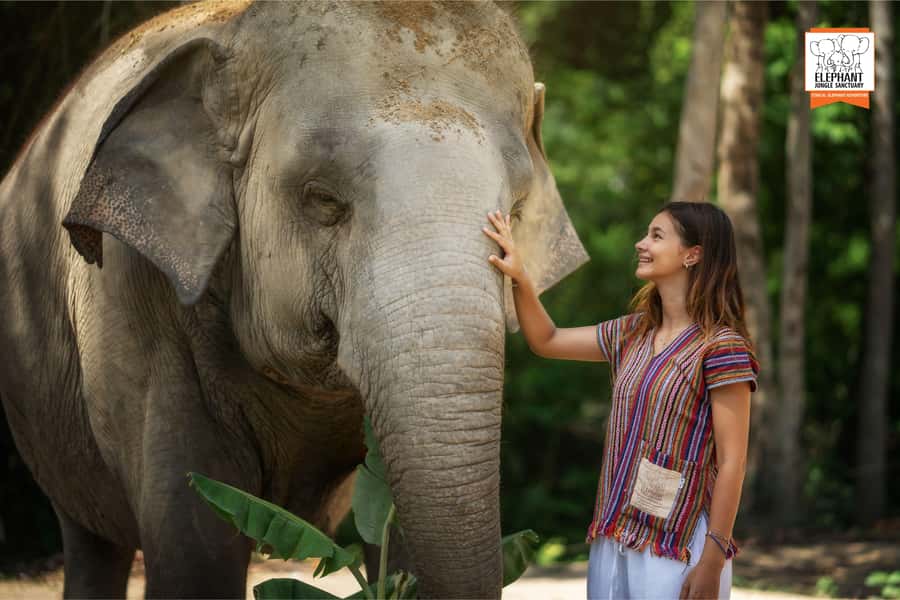 Koh Samui: Elephant Jungle Sanctuary Half-Day Tour - Thai lunch with elephant-time views: a real meal break