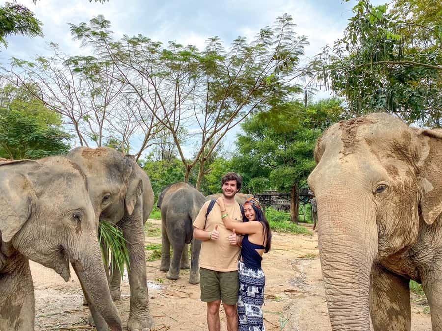 Koh Samui: Elephant Kingdom Sanctuary Half-Day Tour - Watching them move to the mud pit (and why it’s not just entertainment)