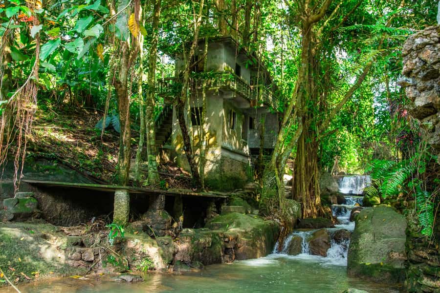 Koh Samui: Elephant Sanctuary and Jungle Tour with Lunch - Timing, group size, and why you shouldn’t over-plan