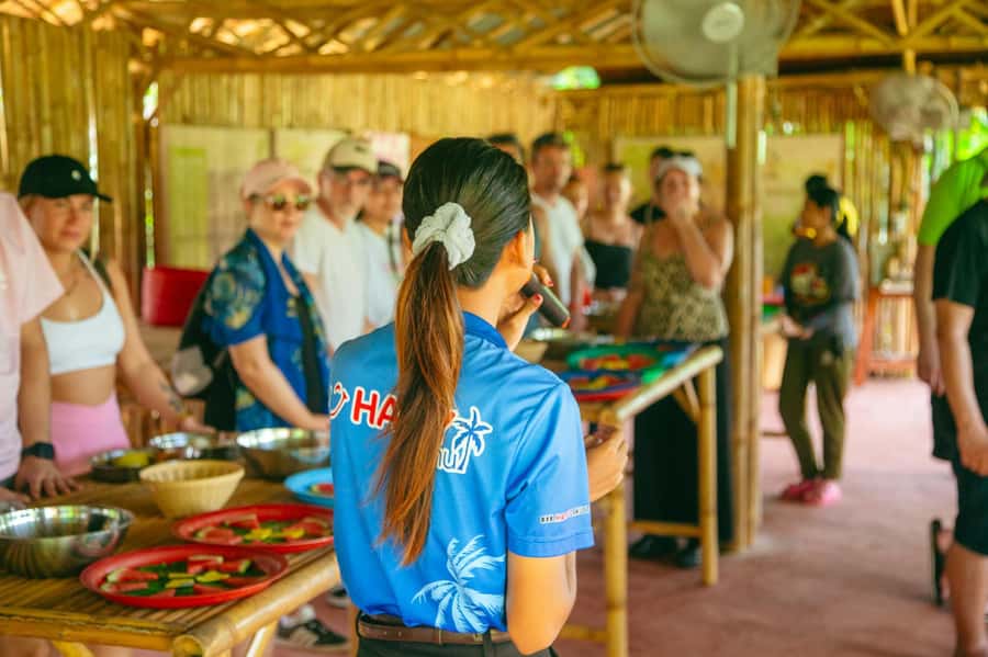 Koh Samui: Elephant Sanctuary and Jungle Tour with Lunch - Elephant sanctuary: making the feed and watching behavior