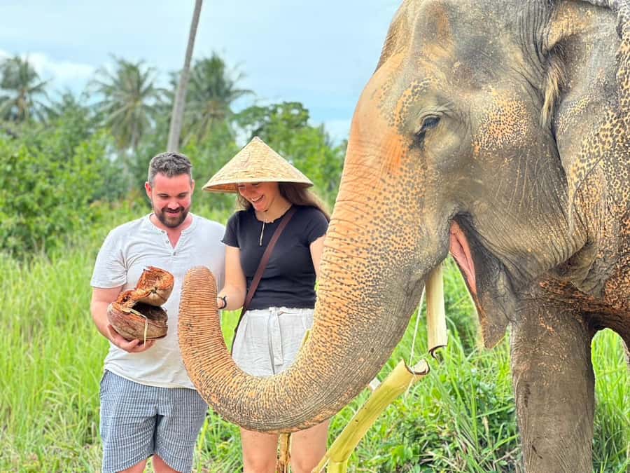 Koh Samui: Ethical Elephant Home Guided Tour with Transfers - Entering an Elephant Home Built Around Welfare