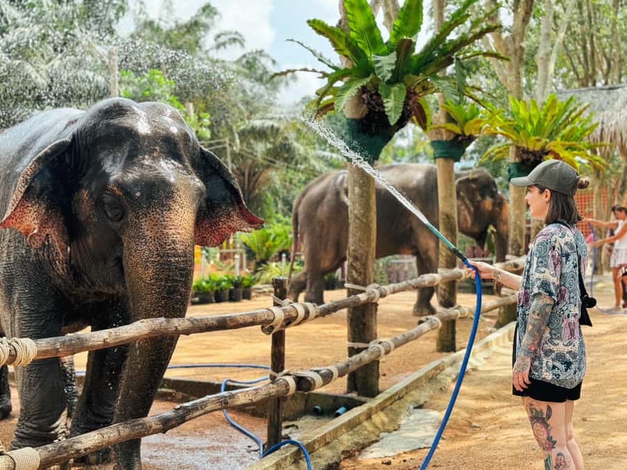 Koh Samui: Ethical Elephant Home Guided Tour with Transfers - Making Elephant Food With the Mahouts (And Why Nutrition Matters)